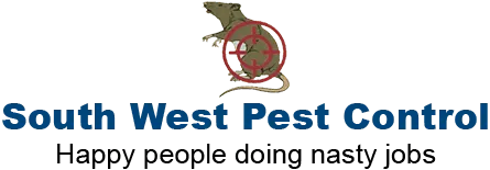 Rat Control Experts in Swindon | South West Pest Control